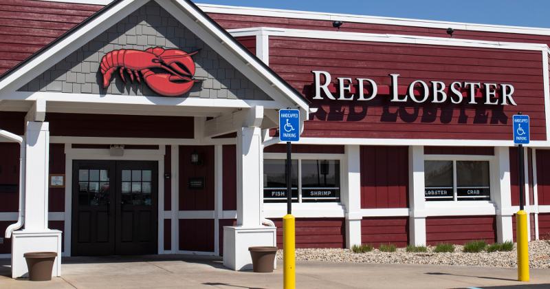 Red Lobster